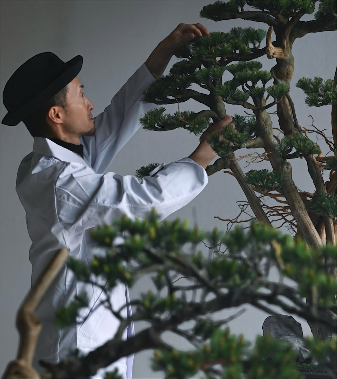 アート盆栽の枝をワイヤーで仕立てる作家の手元